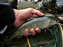 2007-05-10 034.JPG